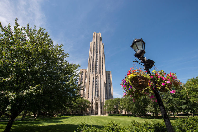 Cathedral of Learning from the lawn with blue sky and pink flowers in pits on a light pole.