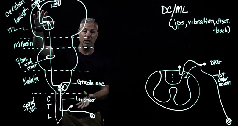 Lightboard example with faculty member displaying physical therapy information.