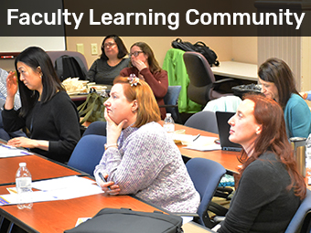 Large Enrollment Courses - Faculty Learning Community