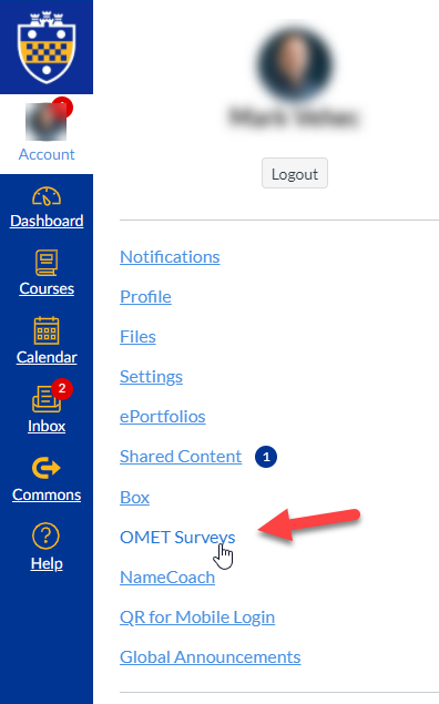 Canvas account panel showing link to OMET Surveys