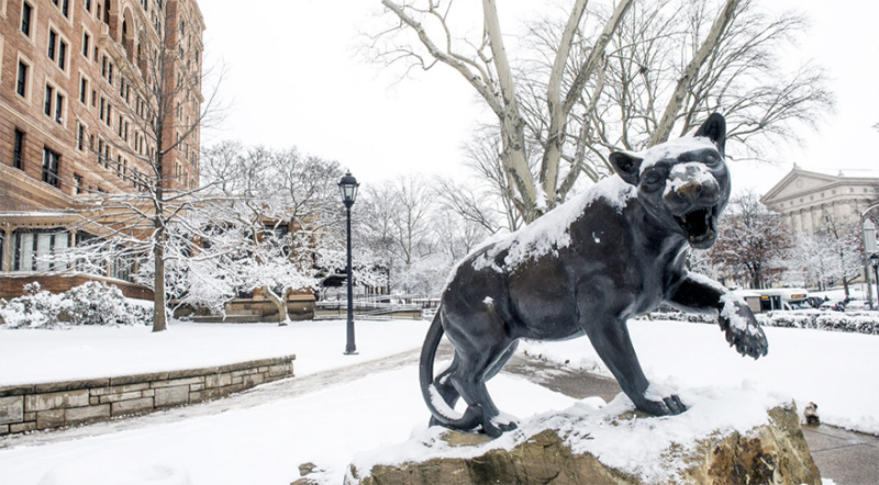 Panther outside of the Pitt Union in the snow.