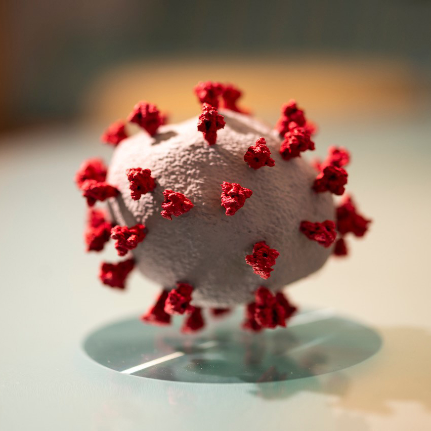 3D Model: Coronavirus