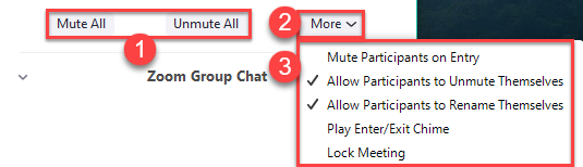 Screenshot of Zoom participant options with sections 1-3 highlighted in red rectangles