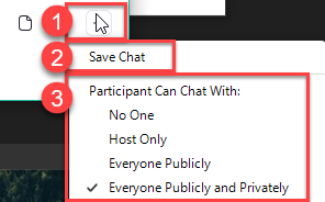 Screenshot of participant chat options with sections 1-3 highlighted in a red rectangle