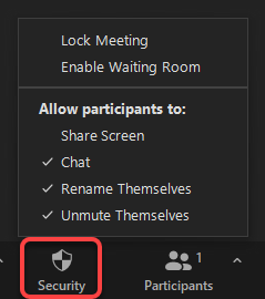 Zoom security button highlighted in red rectangle with options displayed