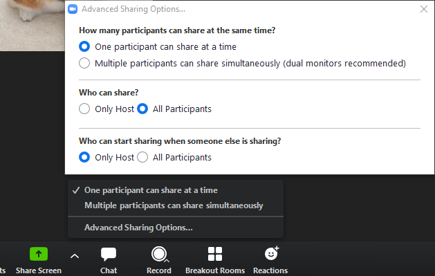 Sharing and annotations settings