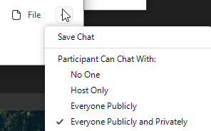 Chat settings for Zoom conference