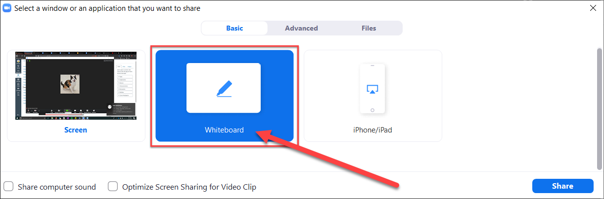 Screenshot of screens available for sharing with whiteboard highlighted in a red rectangle