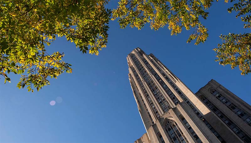 Cathedral Of Learning With Leaves In The Foreground.