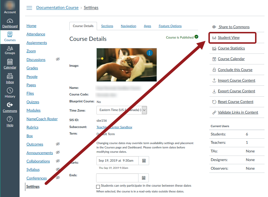 Screenshot highlighting the Student View button on a Canvas course Settings page with a red rectangle and red arrow. The Student View button looks like a pair of glasses in a gray outlined rectangle with the words "Student View" underlined.