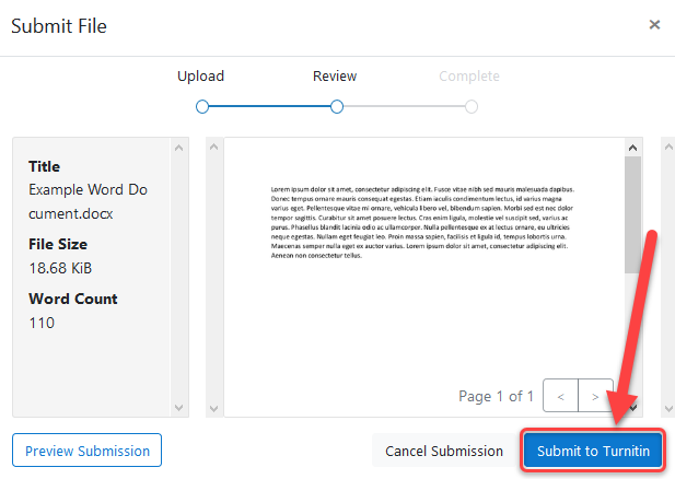 Screenshot of file submission review with "Submit to Turnitin" button highlighted in a red rectangle with a red arrow pointing to it.