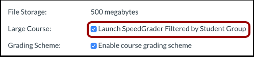 Screenshot illustrating the location of the ‘Launch SpeedGrader filtered by Student Group’ option from the Canvas settings page.