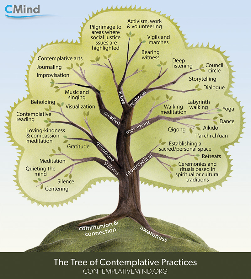The Tree of Contemplative Practices